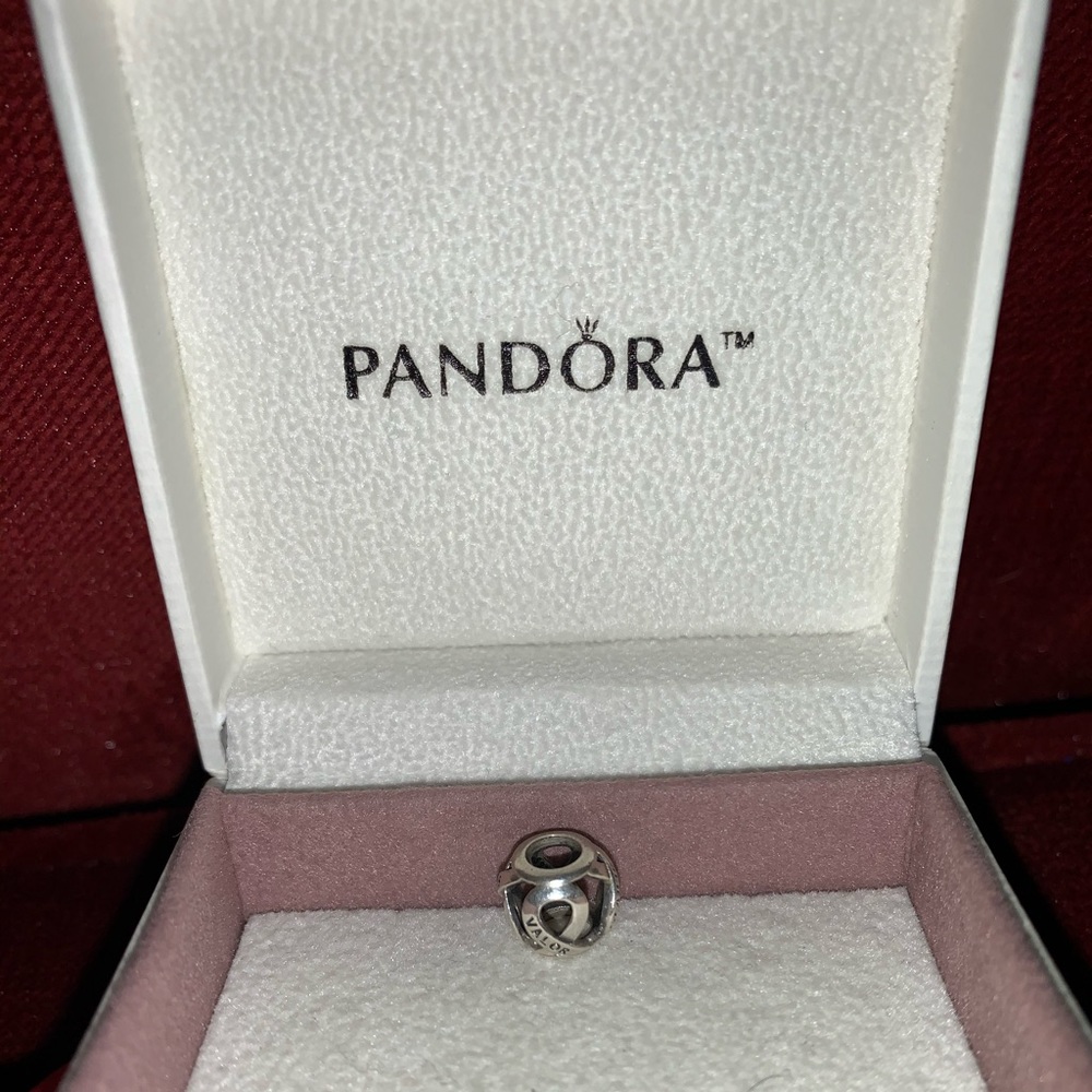 COPY - Marine Corp Pandora Charm